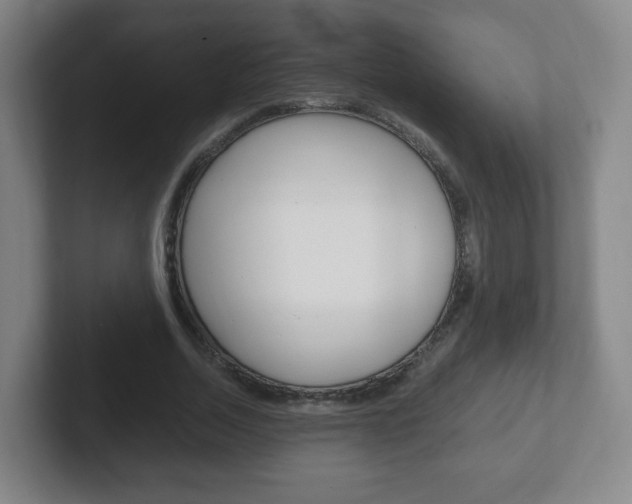 X0000102300730200807251020