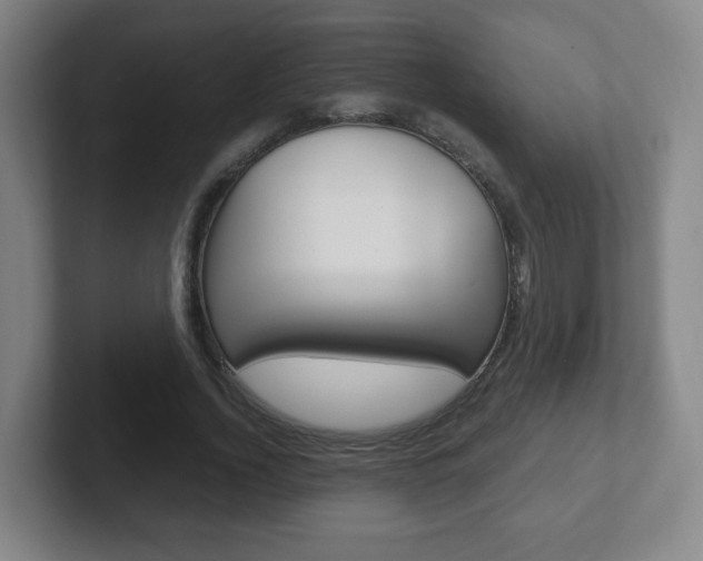 X0000102300732200807251020