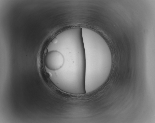 X0000102300734200807251020
