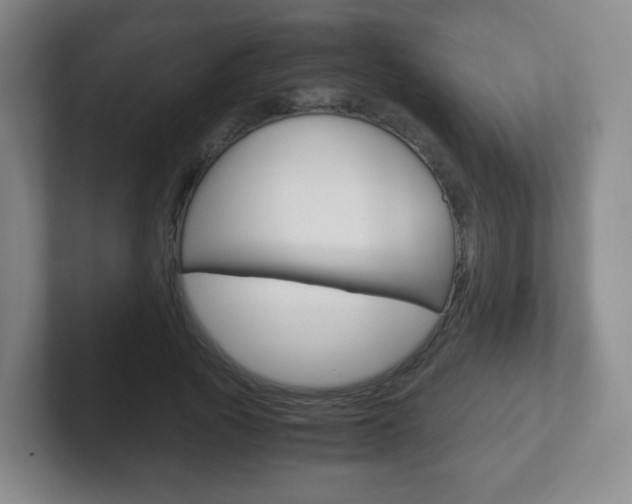 X0000102300737200807251020