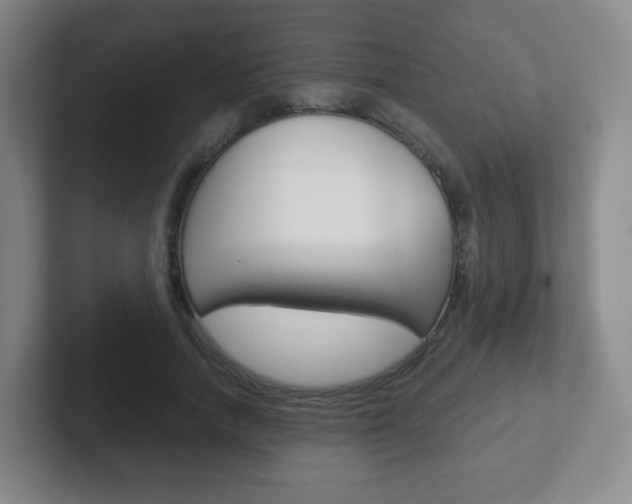 X0000102300738200807251020