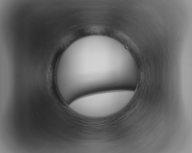 X0000102300739200807251021