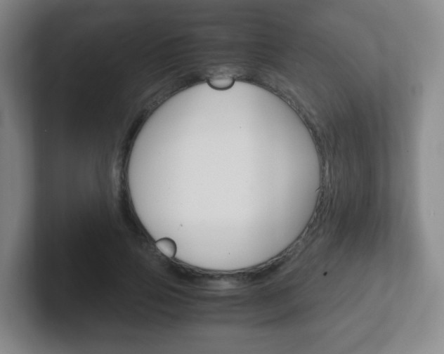 X0000102300741200807251021