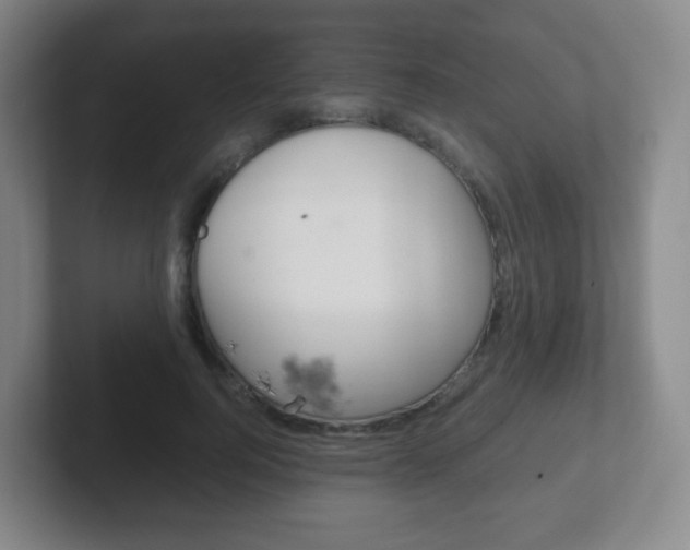 X0000102300744200807251021