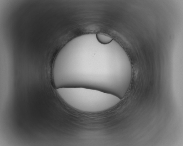 X0000102300745200807251021