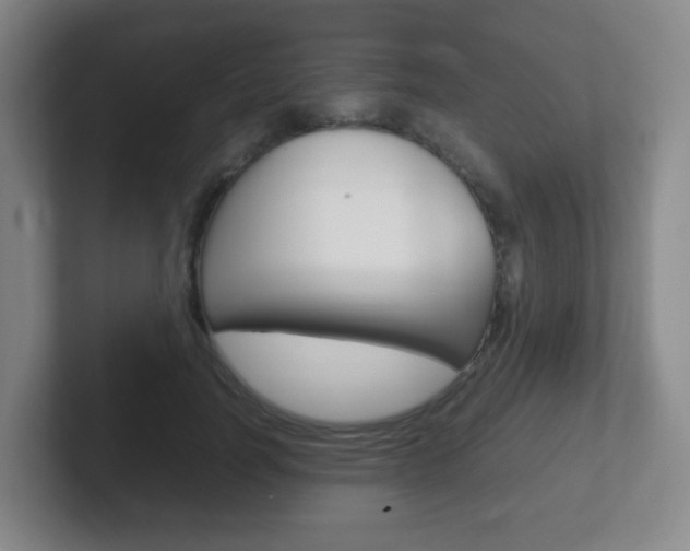 X0000102300746200807251021
