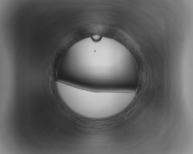 X0000102300750200807251021
