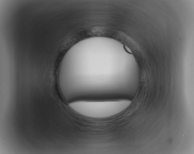 X0000102300751200807251021