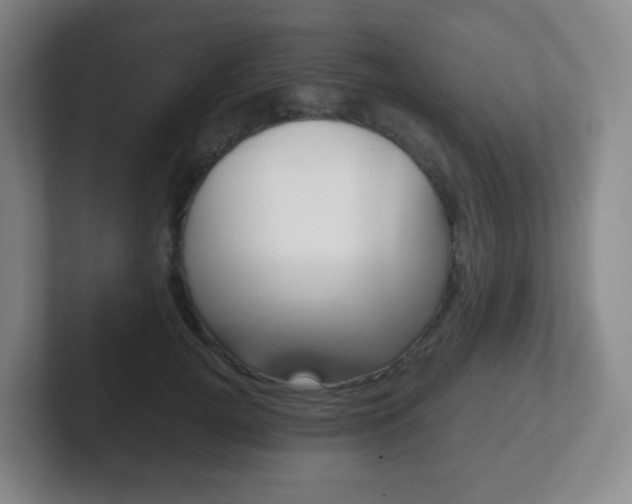 X0000102300752200807251021