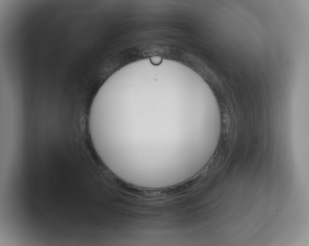 X0000102300753200807251021