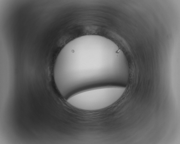 X0000102300759200807251021