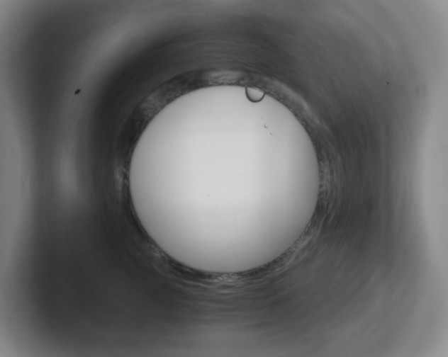 X0000102300761200807251021