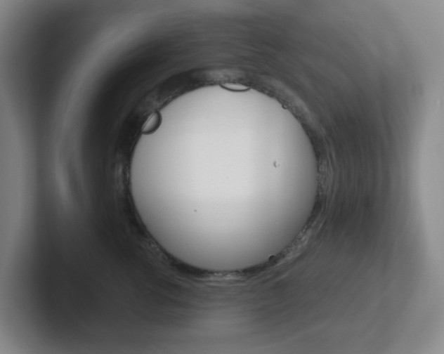 X0000102300762200807251021