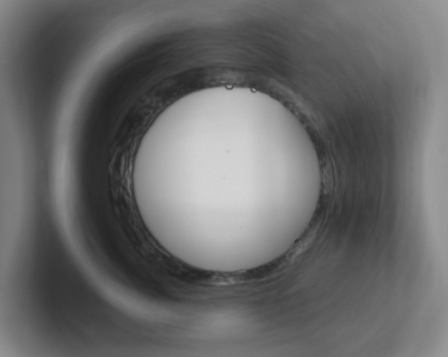 X0000102300764200807251021
