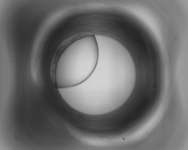 X0000102300766200807251021
