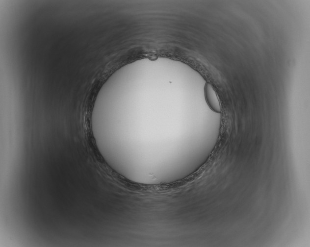 X0000102300770200807251020
