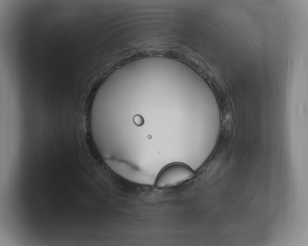 X0000102300772200807251020