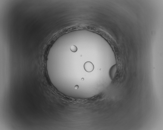X0000102300773200807251020