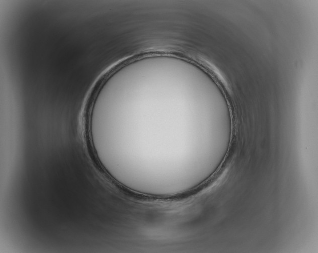 X0000102300779200807251020