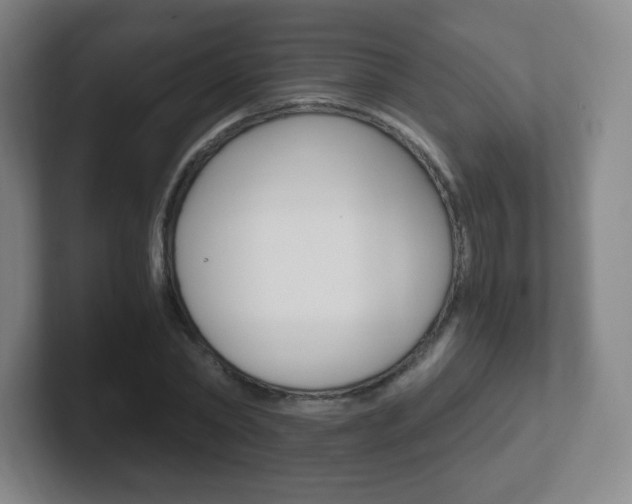 X0000102300782200807251020