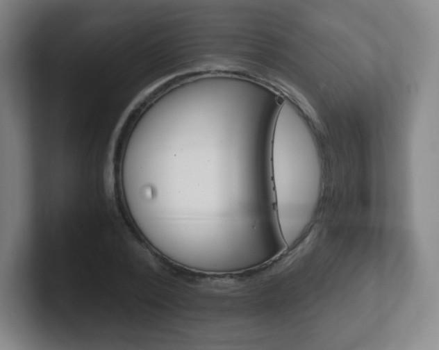 X0000102300784200807251020