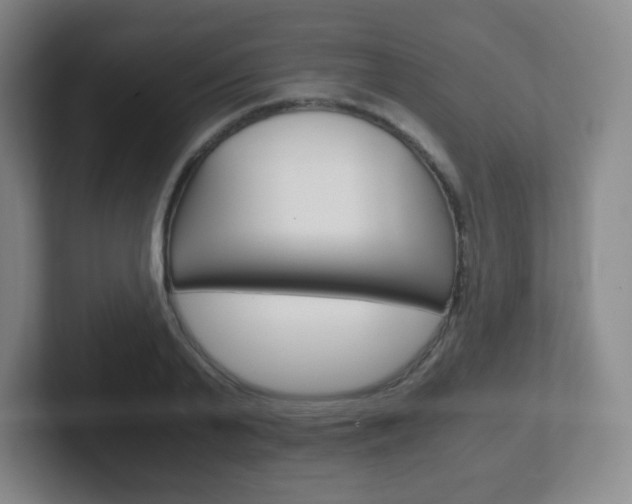 X0000102300791200807251020
