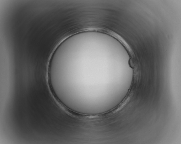 X0000102300810200807251020
