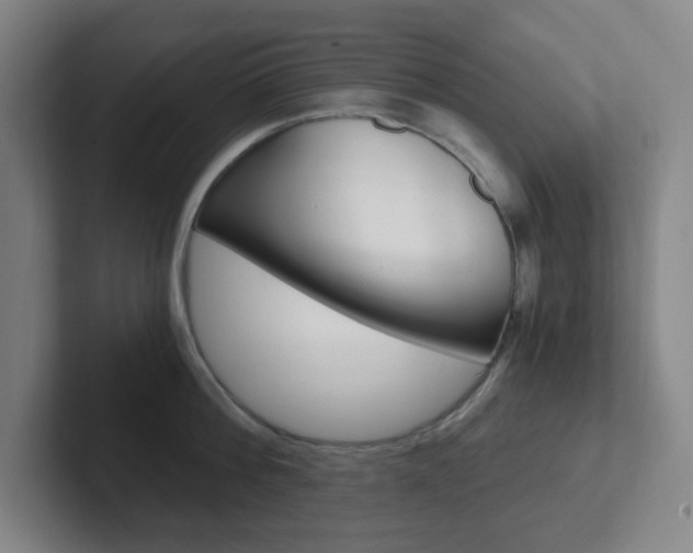 X0000102300812200807251020