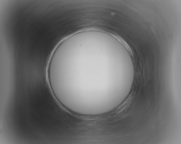 X0000102300813200807251020