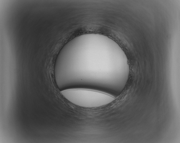 X0000102300817200807251019