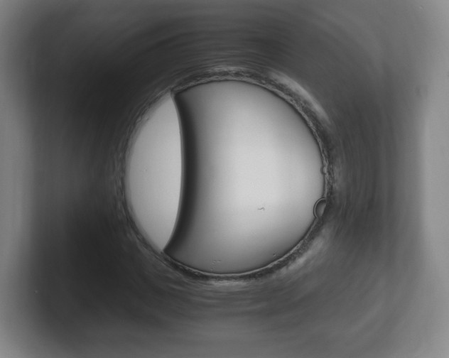 X0000102300825200807251019