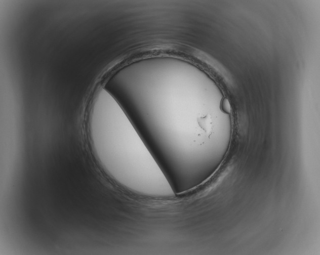 X0000102300826200807251019