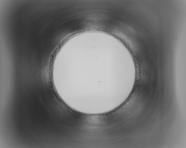 X0000102300828200807251019