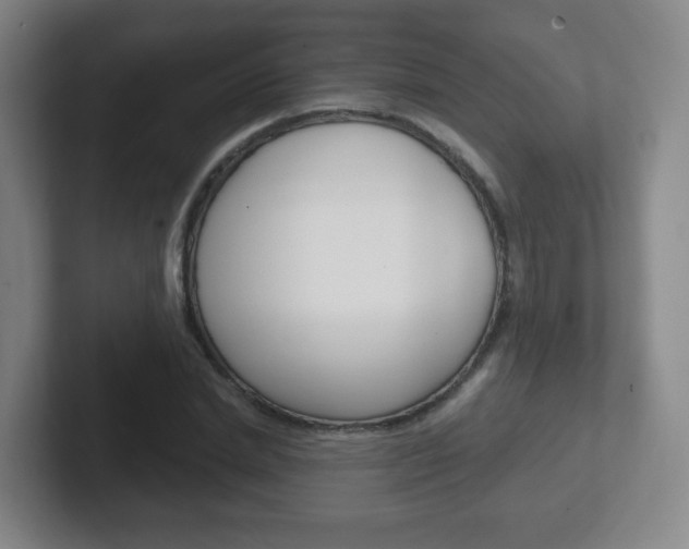 X0000102300830200807251019