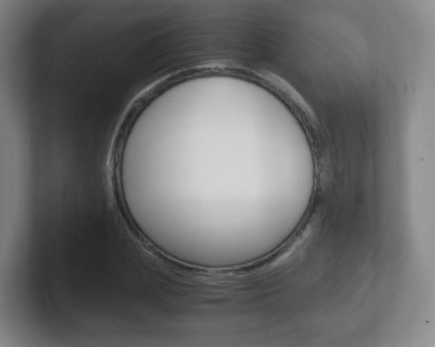 X0000102300831200807251019