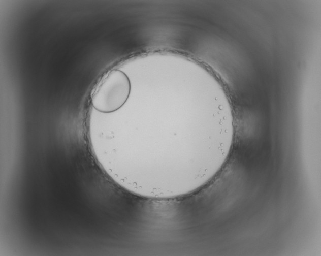 X0000102300832200807251019