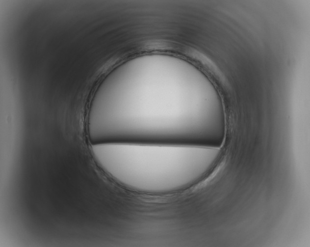 X0000102300833200807251019