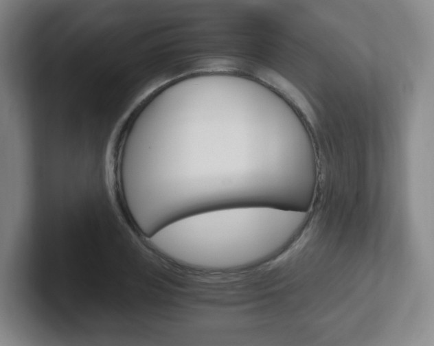 X0000102300835200807251019