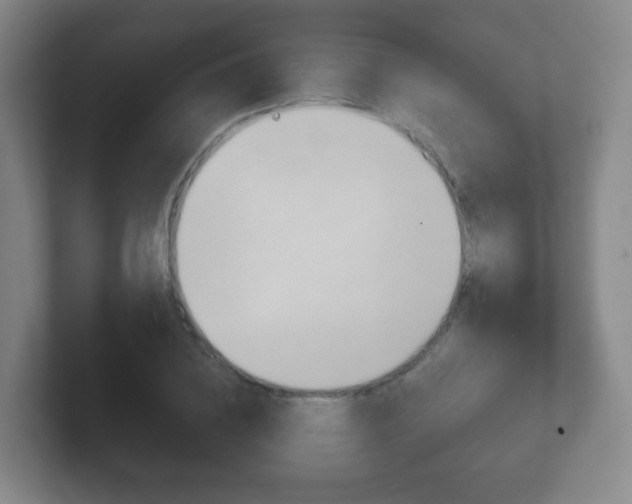 X0000102300836200807251019