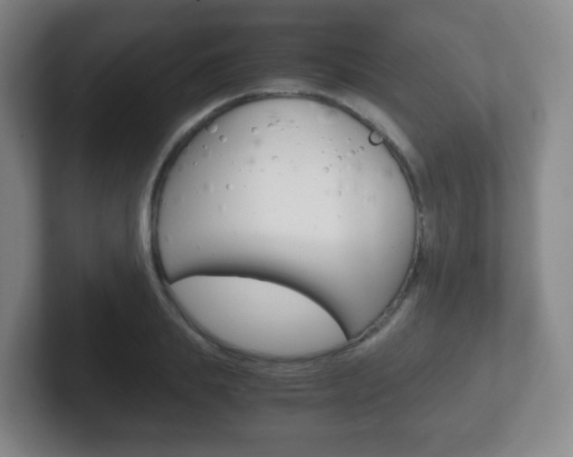X0000102300839200807251019