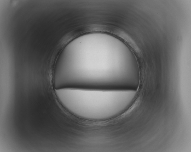 X0000102300841200807251019