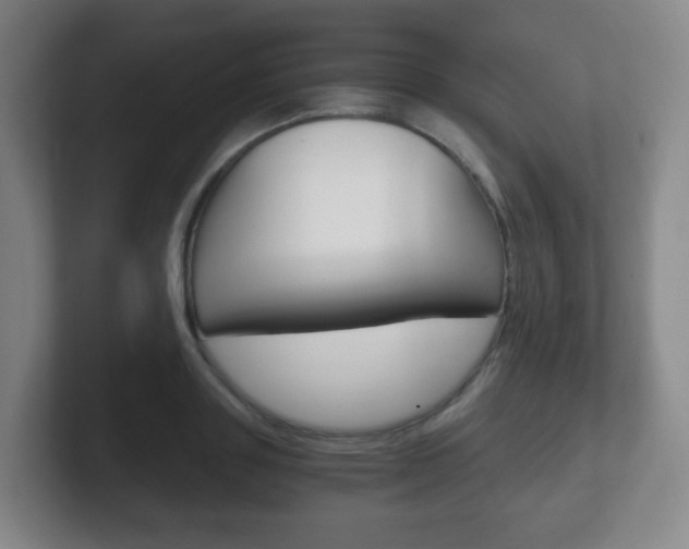 X0000102300843200807251019
