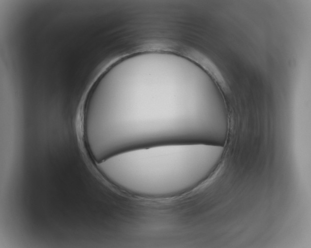 X0000102300844200807251019