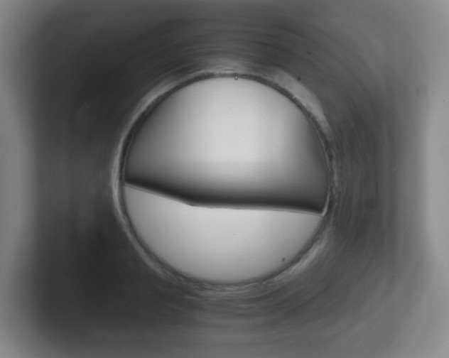 X0000102300845200807251019