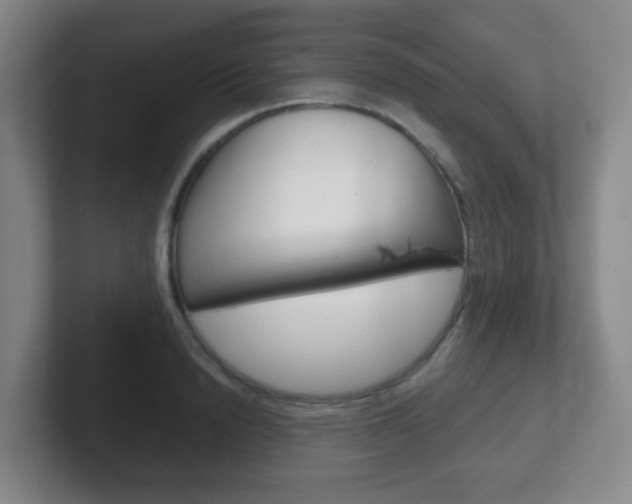 X0000102300846200807251019