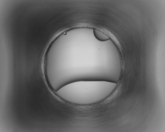 X0000102300847200807251019