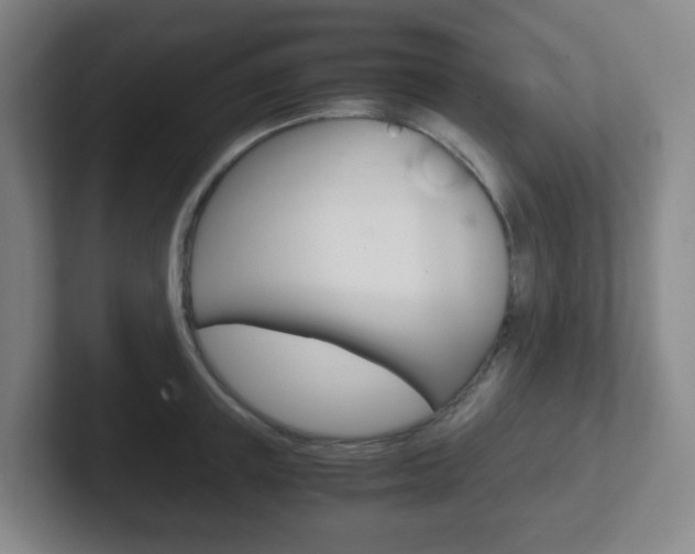 X0000102300851200807251019
