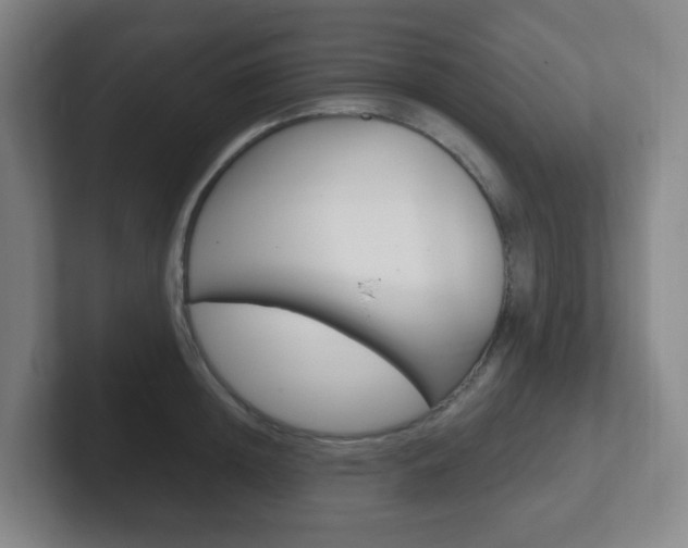X0000102300852200807251019