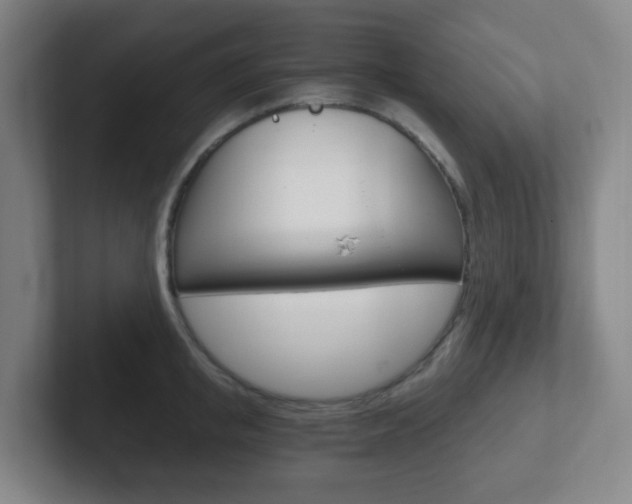 X0000102300853200807251019