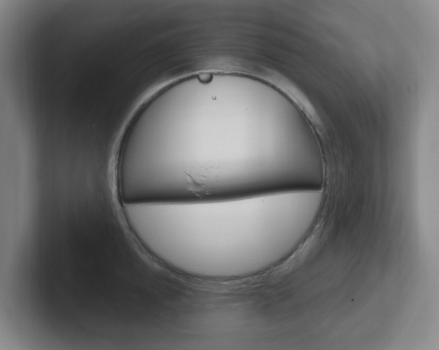 X0000102300854200807251020
